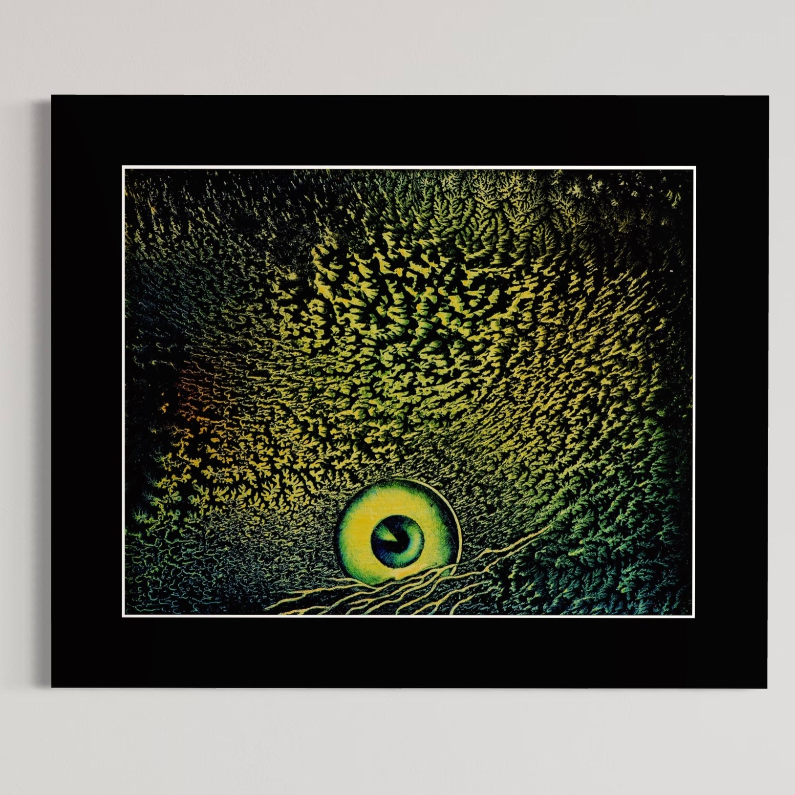 Horizon oog