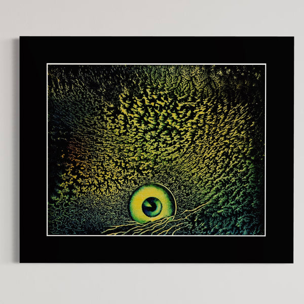 Horizon oog