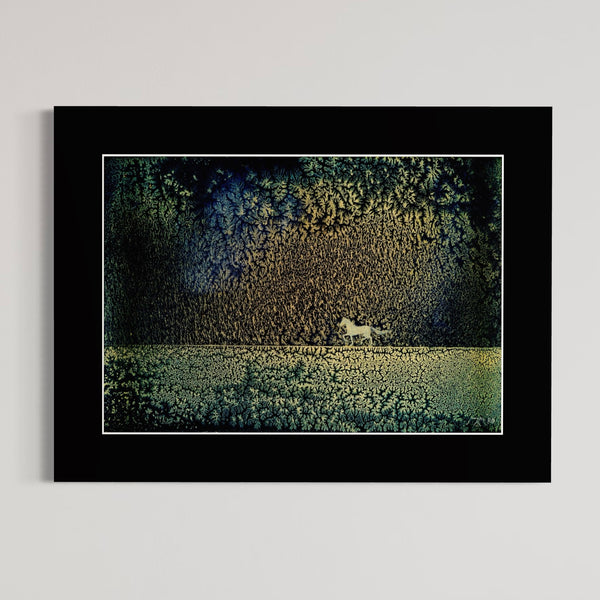 Horizon paard